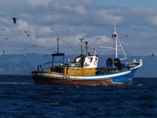 CE aprueba una nueva reglamentacin que simplifica la concesin de ayudas estatales al sector pesquero
