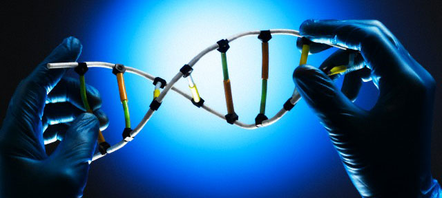 Las misteriosas raíces de la inteligencia: ¿hay un código genético para los genios?