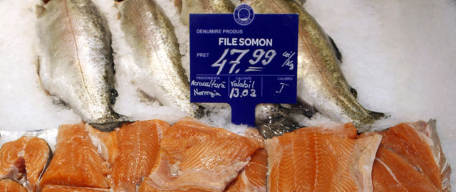 El salmón del Báltico, prohibido por sus efectos cancerígenos, se cuela en la Unión Europea
