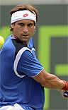 David Ferrer se mediría con Djokovic en unas hipotéticas semis de Miami