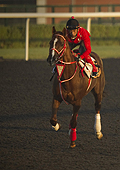 La familia Al Maktoum reparte 21 millones en nueve carreras de caballos
