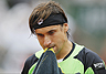 David Ferrer, el campeón de los humanos en la <br>arcilla de Roland Garros