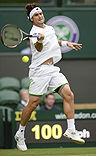 Ferrer, de estar contra las cuerdas a remontar para seguir vivo en Wimbledon