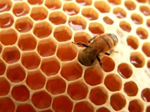 La miel es el mejor remedio para la tos de los niños