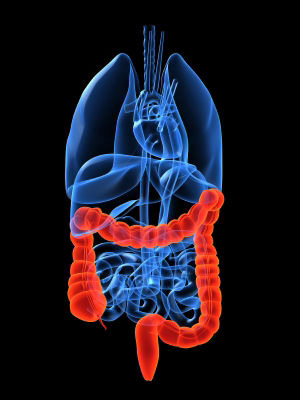 Cáncer de colon: el más frecuente y el segundo más mortal