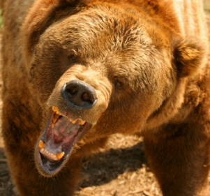 El último rugido del gran oso: Bear Stearns (1923-2008)